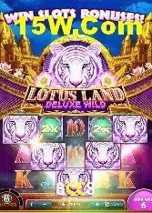 Casino Ao Vivo 8CC8